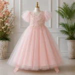 Pink Embroidered Party Gown-6839
