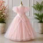 Pink Embroidered Party Gown-6839 - Image 2