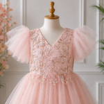 Pink Embroidered Party Gown-6839 - Image 3