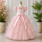 Pink Floral Embroidered Party Dress-AC210 - Image 2