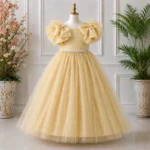 Golden Party dress with Bow Sleeves-AC218