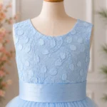 Blue Embroidered Girls Party -JX799 - Image 4